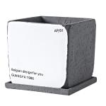 Indoor Cement Flowerpot