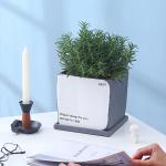 Indoor Cement Flowerpot