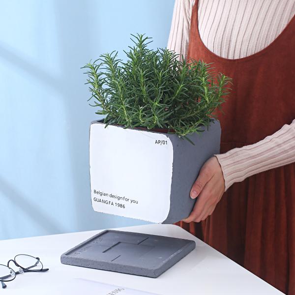 Indoor Cement Flowerpot
