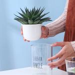 Ceramic Flowerpot