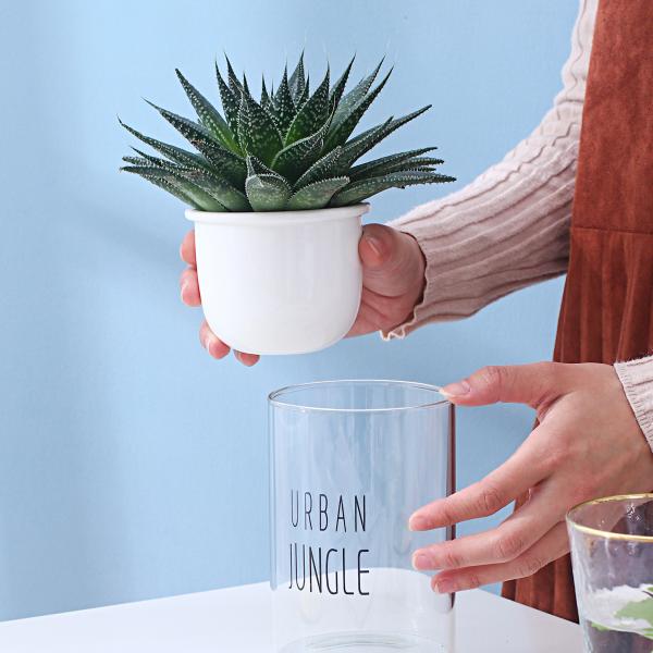 Ceramic Flowerpot