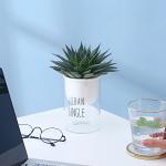 Ceramic Flowerpot