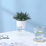 Ceramic Flowerpot