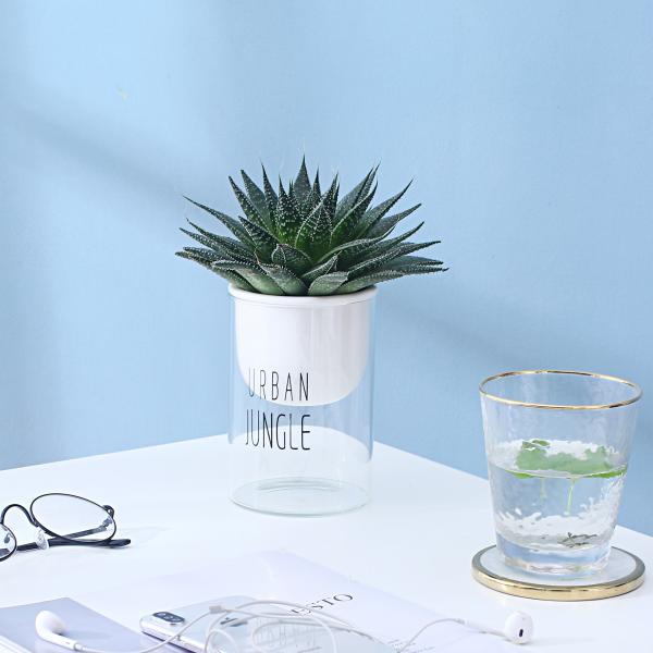 Ceramic Flowerpot