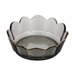Dinner Plates