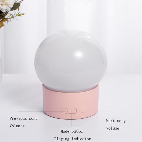 Projector Lamp
