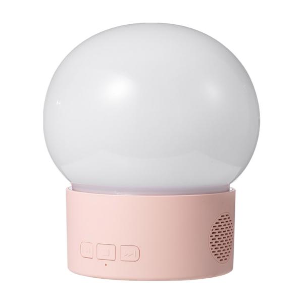 Projector Lamp