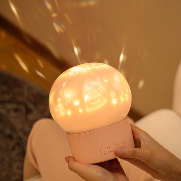 Projector Lamp