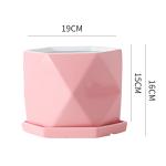 Pots, Planters & Container Accessories