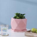Pots, Planters & Container Accessories