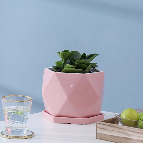 Pots, Planters & Container Accessories