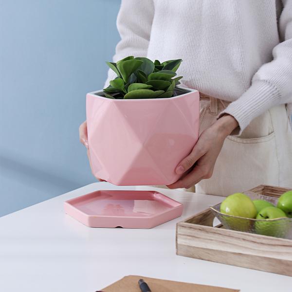 Pots, Planters & Container Accessories