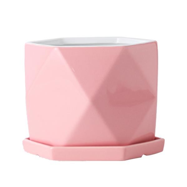 Pots, Planters & Container Accessories