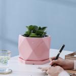 Pots, Planters & Container Accessories