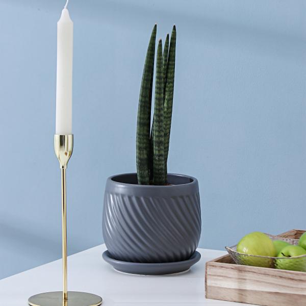 Pots, Planters & Container Accessories