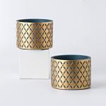Pots, Planters & Container Accessories