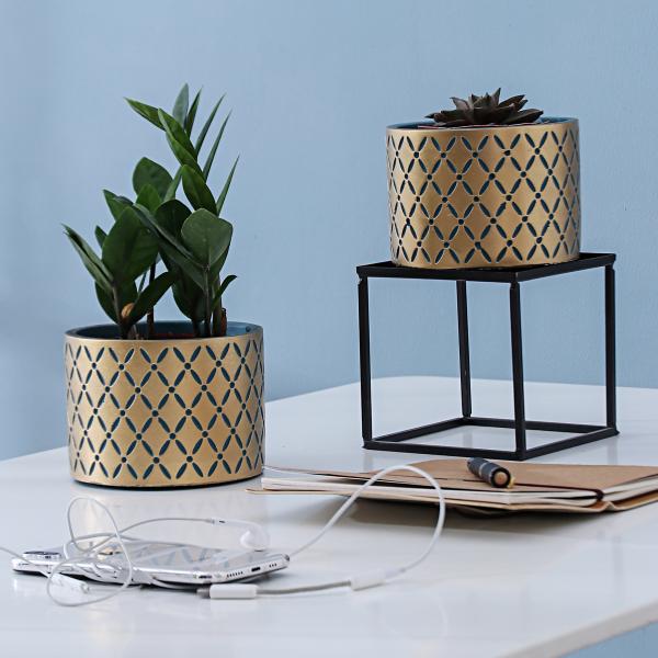 Pots, Planters & Container Accessories