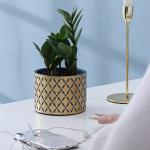 Pots, Planters & Container Accessories