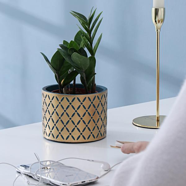 Pots, Planters & Container Accessories