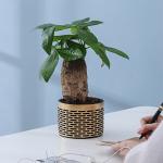 Pots, Planters & Container Accessories