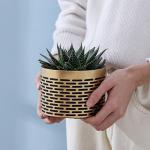 Pots, Planters & Container Accessories