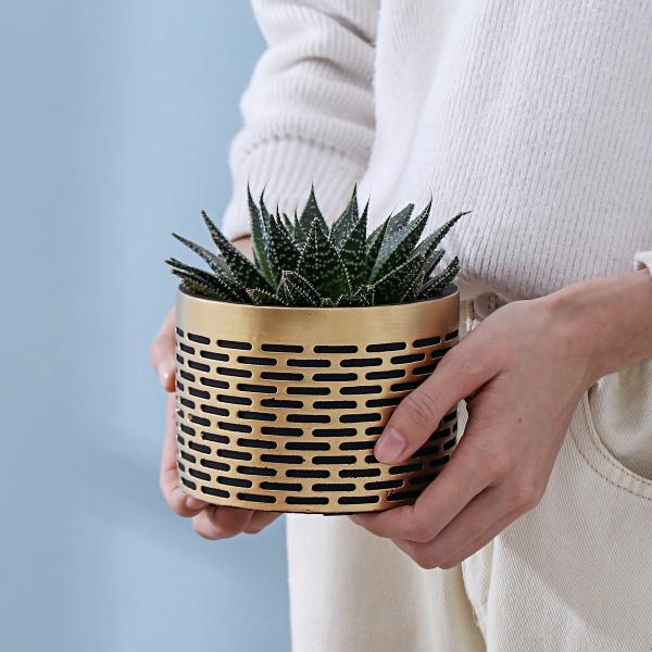 Pots, Planters & Container Accessories