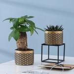 Pots, Planters & Container Accessories
