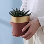 Pots, Planters & Container Accessories