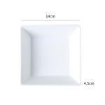 Dinner Plates