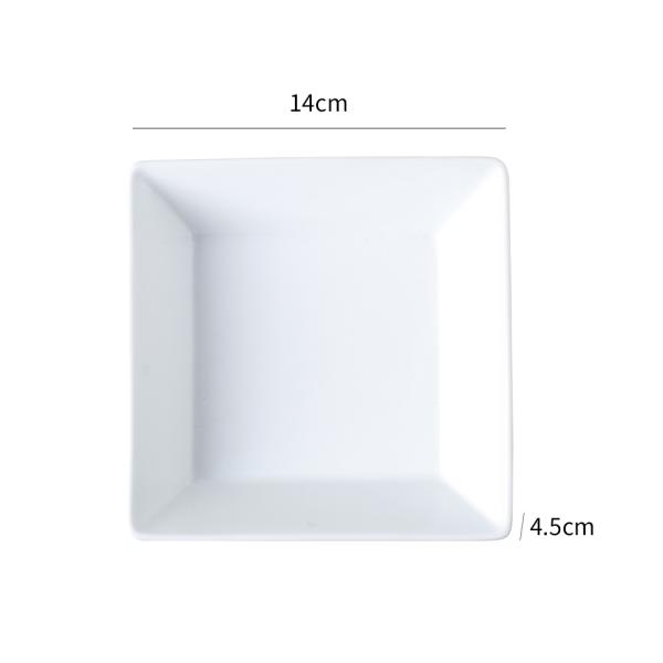 Dinner Plates