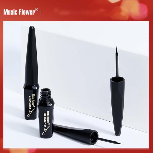 Eye Liner Liquid