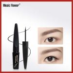 Eye Liner Liquid