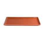 Dinner Plates