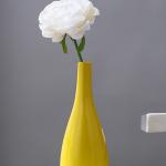 Vases