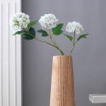 Vases