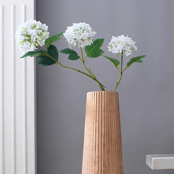 Vases
