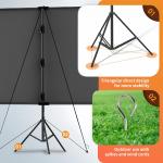 Projector Screens