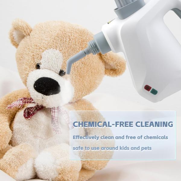 Steam Cleaner
