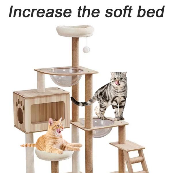 Elevated/Outdoor Beds