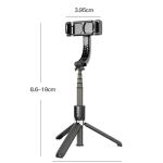Tripods & Monopods