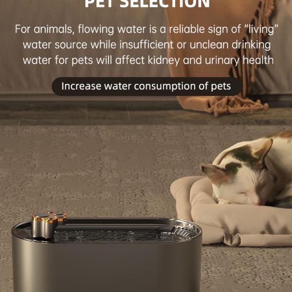 Bowls/Feeders