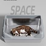 Litter - House
