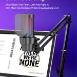 PC Microphones