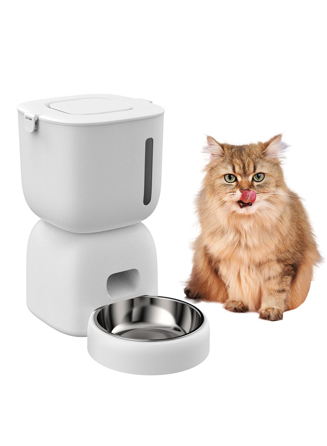 Bowls/Feeders