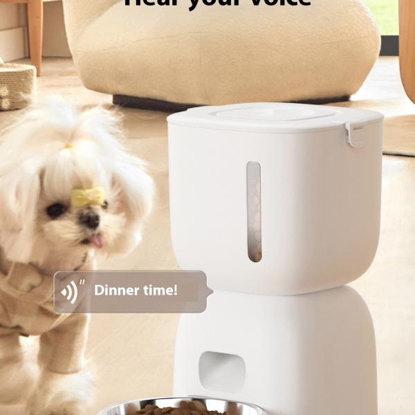 Bowls/Feeders