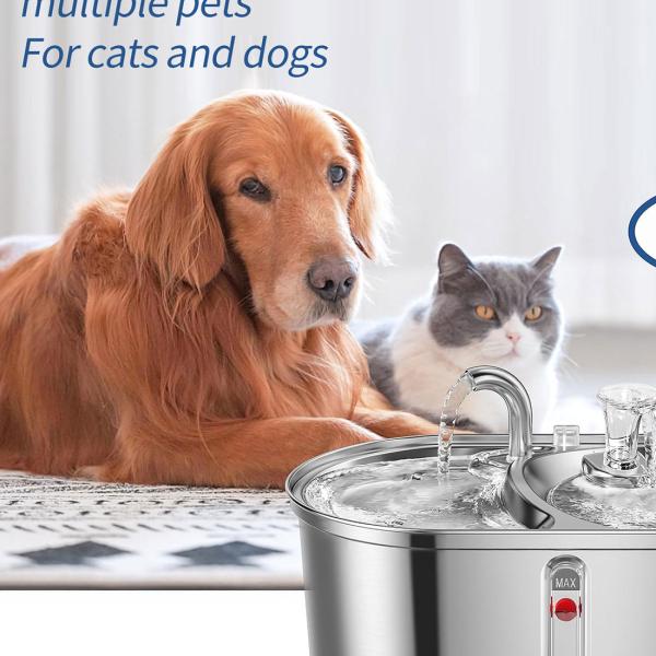 Bowls/Feeders