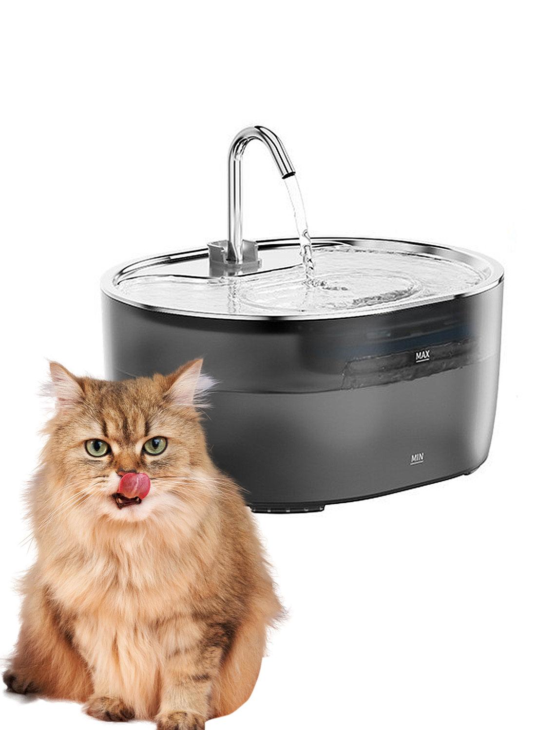 Bowls/Feeders
