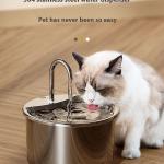 Bowls/Feeders