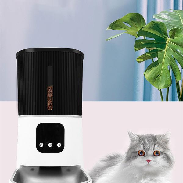 Bowls/Feeders