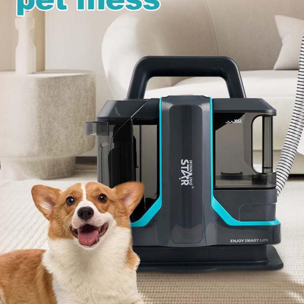 Carpet Cleaner